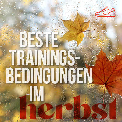Beste Trainingsbedingungen im Herbst
